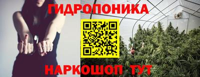 индика Краснокаменск