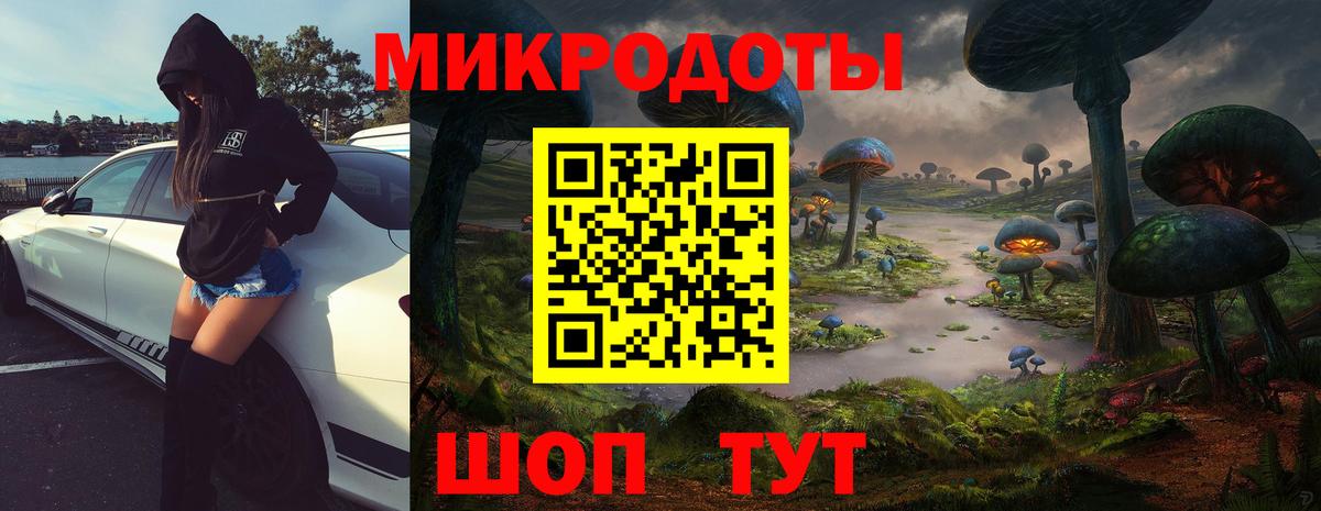 Галлюциногенные грибы прущие грибы  Вход с VPN  Кириши 